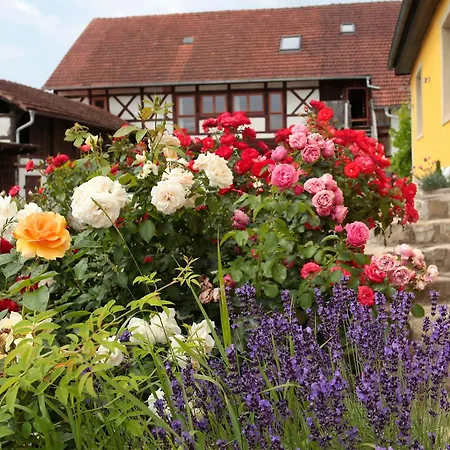 Studioapartment Mit Wohlfuehlcharakter Litzendorf